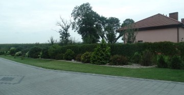 Mój Piękny Ogrod
III miejsce Joanna i Dariusz Szulkowscy, Wąpielsk